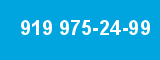 919 975-24-99